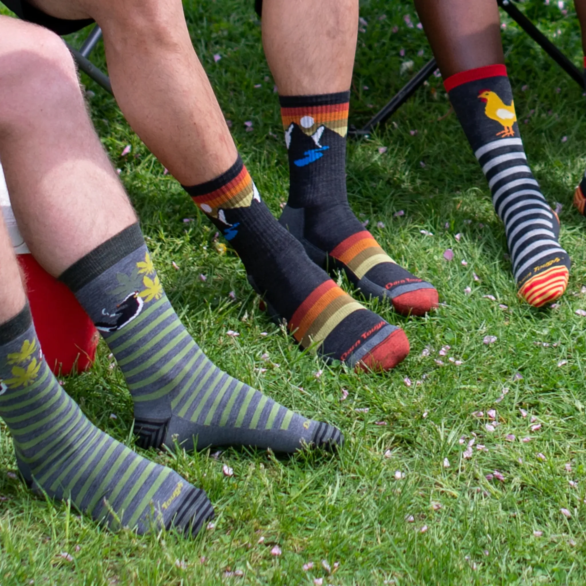 Darn Tough Sunset Ridge Micro Crew Lightweight Hiking Socks