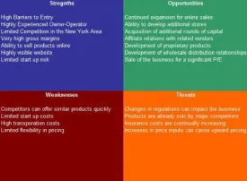 Ice Sculptor Service SWOT Analysis Plus Business Plan