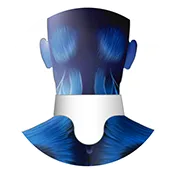 Mugiro Neck Protector